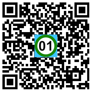 Scan de code