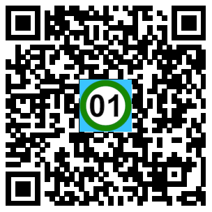 Scan de code