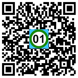Scan de code