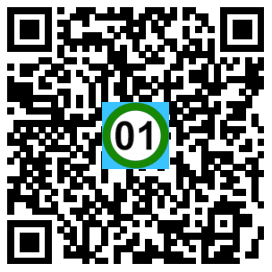 Scan de code
