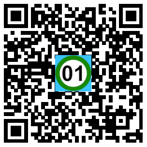 Scan de code