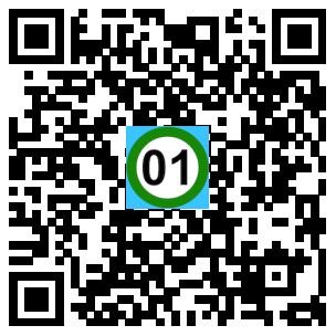 Scan de code
