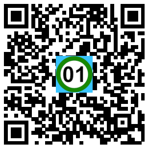 Scan de code