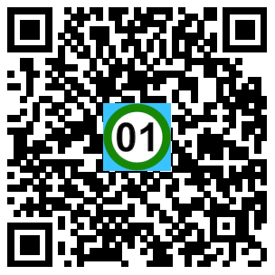 Scan de code