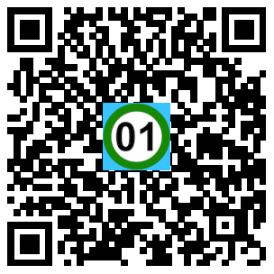 Scan de code