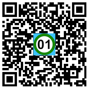 Scan de code