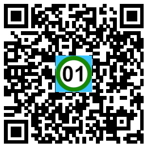 Scan de code