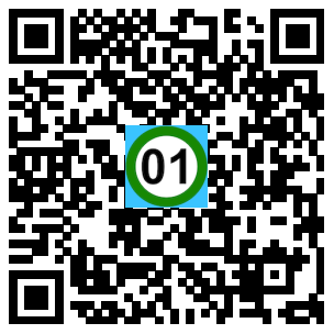 Scan de code