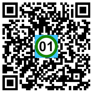 Scan de code