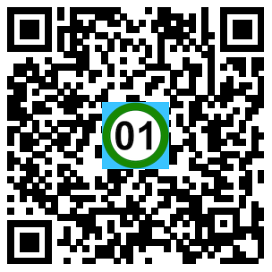 Scan de code