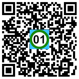 Scan de code