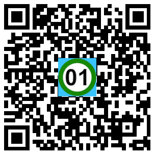 Scan de code
