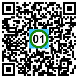Scan de code