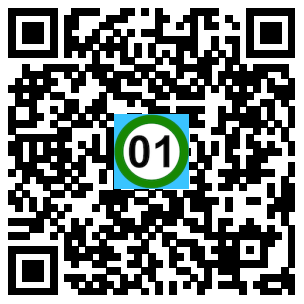Scan de code