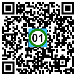 Scan de code