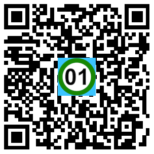 Scan de code