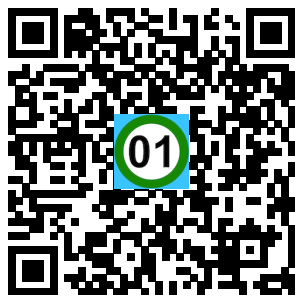 Scan de code