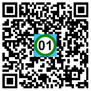 Scan de code