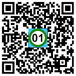 Scan de code