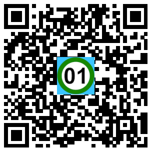Scan de code