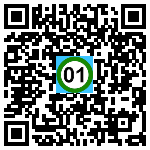 Scan de code