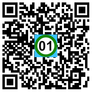 Scan de code