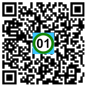 Scan de code