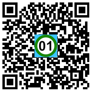 Scan de code