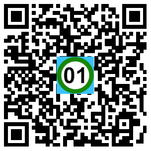 Scan de code