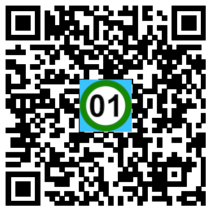 Scan de code