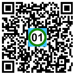 Scan de code