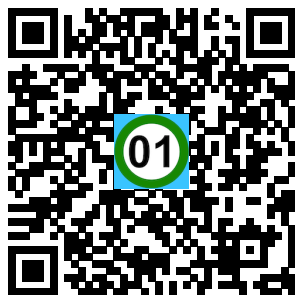 Scan de code