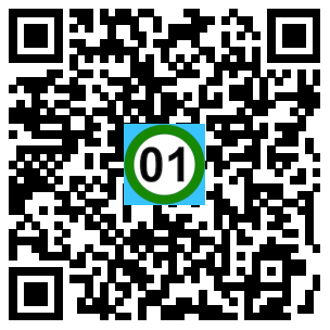 Scan de code