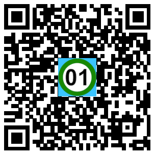 Scan de code