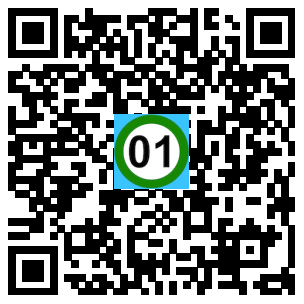 Scan de code