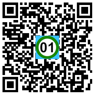 Scan de code