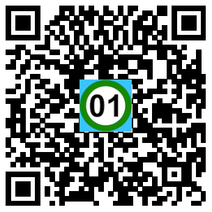 Scan de code