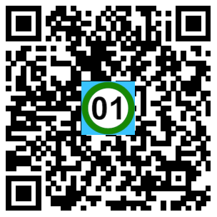 Scan de code