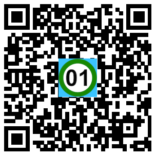 Scan de code