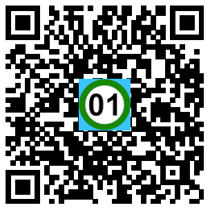 Scan de code