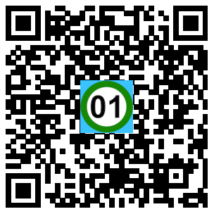 Scan de code