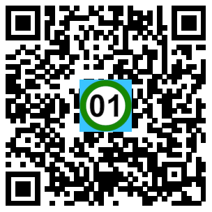 Scan de code
