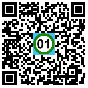 Scan de code