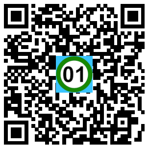 Scan de code