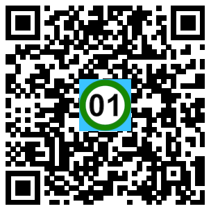 Scan de code