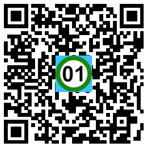 Scan de code