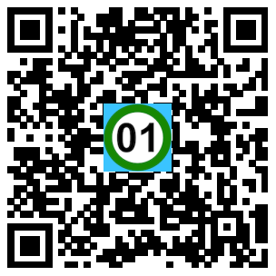 Scan de code