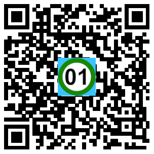 Scan de code