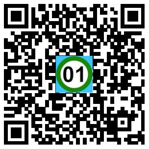 Scan de code