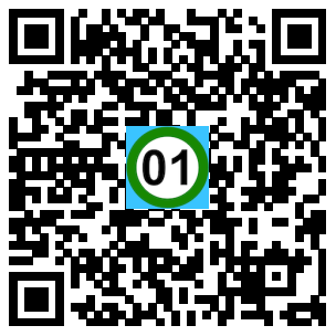 Scan de code